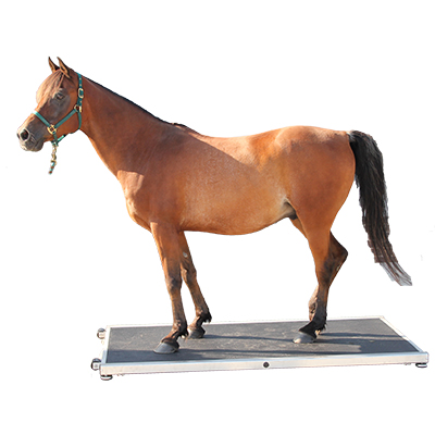 Tehtnica za konje do 1500kg - Klikni za zapri