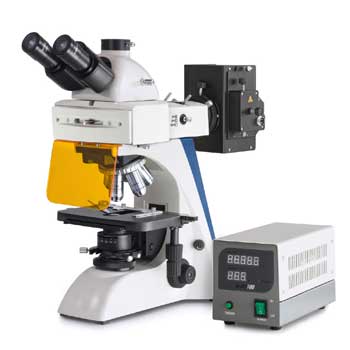 Svetlobni mikroskop